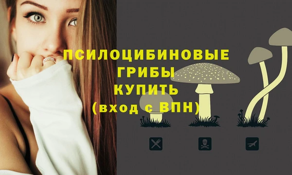 твердый Алзамай