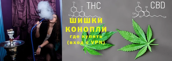 твердый Алзамай