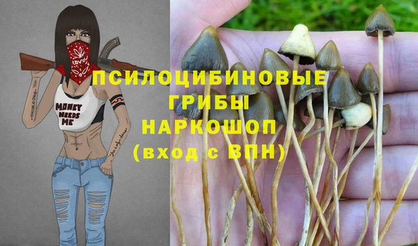 твердый Алзамай