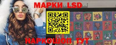 спиды Обь