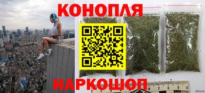 спиды Обь
